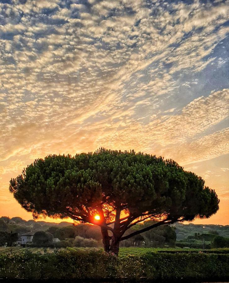 Villa Alba Saint-Tropez Eksteriør billede