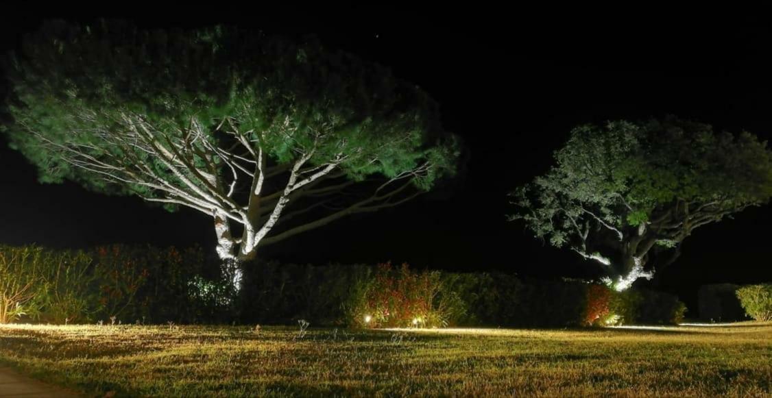 Villa Alba Saint-Tropez Eksteriør billede